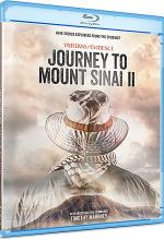 Patterns of Evidence: Journey to Mount Sinai II