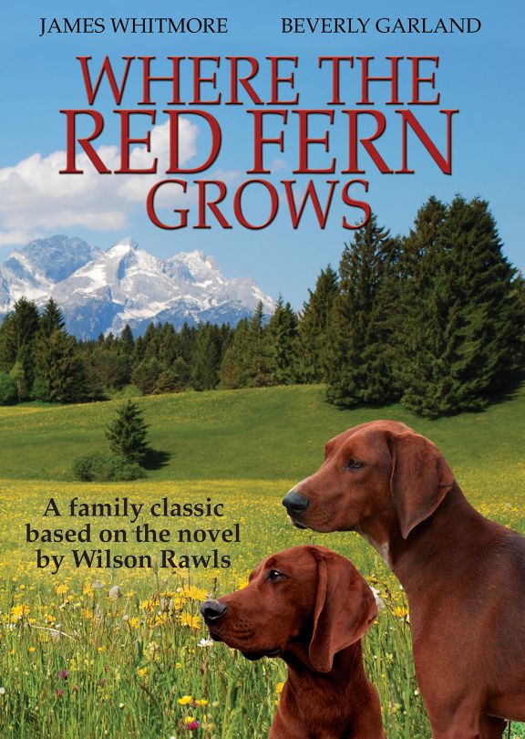 Where the Red Fern Grows DVD | Vision Video | Christian ...