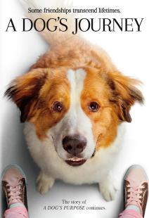 A Dog's Journey