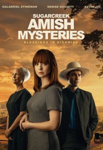 Sugarcreek Amish Mysteries Blessings in Disguise
