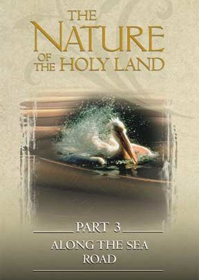 Nature Of The Holy Land #3: Along The Sea Road - .MP4 Digital Download